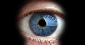 Insider Threats in Open Source