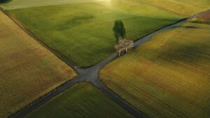 Open Source at a Crossroads